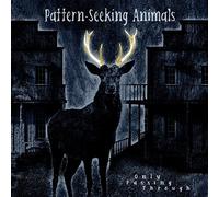Pattern-Seeking Animals - Only Passing Through - Gatefold Black 2LP + CD (Vinyl)