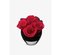 Only Roses Only Roses Infinite Rhubarb Rose Quartet