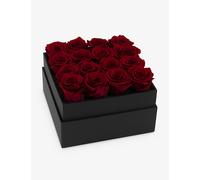 Only Roses Only Roses Infinite Rose Scarlet Plaza