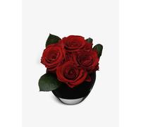 Only Roses Only Roses Infinite Rose Scarlet Quartet