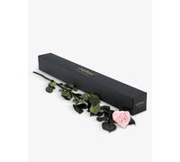 Only Roses Only Roses Infinite Statement Cherry Blossoms Rose