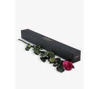 Only Roses Only Roses Infinite Statement Rhubarb Rose