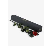 Only Roses Only Roses Infinite Statement Scarlet Rose