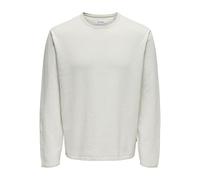 ONLY & SONS Onsgordon RLX 12 LS Crew Noos Men's Jersey, Glacier Grey, L