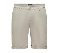 ONLY & SONS Peter Life Regular 0013 Shorts