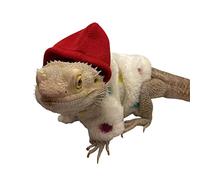 Onlynery Bearded Dragon Hoodie, Hoodies Sweater, Small Animal Clothing Tank Accessories Costume for Skin Protection Photo