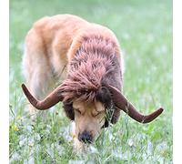 Onmygogo Funny Pet Costumes for Dogs, Cute Furry Pet Bull Buffalo Bison Wig for Halloween Christmas, Pet Clothing Accessories (Bull, Size M)