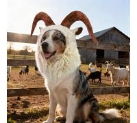 Onmygogo Funny Reideer Pet Costumes for Dog, Cute Furry Pet Wig for Halloween Christmas, Pet Clothing Accessories (Goat, M)