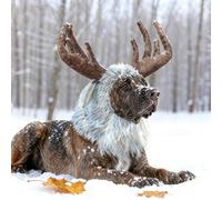 Onmygogo Funny Reindeer Pet Costumes for Dog, Cute Furry Pet Wig for Halloween Christmas, Pet Clothing Accessories (Moose, Size M)