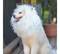 Onmygogo Lion Mane Wig for Dogs with Ears, Funny Pet Costumes for Halloween Christmas (L, White)