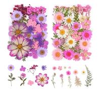 Onperpoe 2 Packs 20 Types 77pcs Dried Pressed Flowers & Leaves Kit - Pink & Purple Natural Real Dried Flowers for Crafts, Decors & Scrapbooking