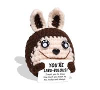 Onperpoe Emotional Support Gift, Handmade Crochet Dolls Bunny Plush with Positive Card, Funny Positive Crochet Animals for Women Girls Birthday Graduation Gifts