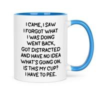 Onperpoe I Came I Saw I Forgot Mug, Novelty Gift for Mum Dad Friend Brother Sister Grandparents, 11 oz Funny Quotes Coffee Mugs Funny Birthday Gifts for Women Men Weird Ceramic Mug Blue
