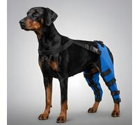 OnPet Dog Knee Brace for Hind Legs, Hinged Back Leg Brace for Torn ACL & Luxating Patella, Adjustable Rear Leg Hock Joint Support with Reflective Strips (Medium)