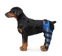 OnPet Dog Knee Brace for Hind Legs, Hinged Back Leg Brace for Torn ACL & Luxating Patella, Adjustable Rear Leg Hock Joint Support with Reflective Strips (Small)