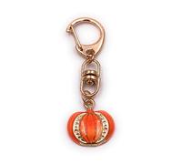 Onwomania Pumpkin Plant Halloween Keyring Metal Lucky Charm in Aluminium Gift Box, Ideal as a Gift, gold, One Size