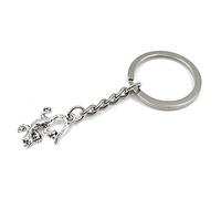 Onwomania Small Lizard Gecko Keyring Metal Lucky Charm in Aluminium Gift Box, Ideal as a Gift, silver, One Size