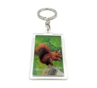 Onwomania - Squirrel Tree Squirrel - 3D Metal Keyring Ideal as a Gift e.g. for a Best Friend, Best Friend, Mum - For Men, Women & Children, brown, One Size