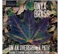 Onyx Brass - Onyx Brass: On An Overgrown Path