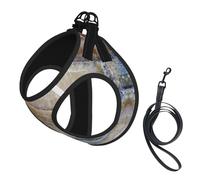 Onyx Stone Pale Blue print Dog Harness and Leash Set, Reflective Adjustable Puppy Vest for Small Medium Large Dogs, Cats