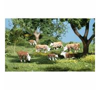 OO/HO Gauge Hereford Cows (7) Woodland scenics A1843