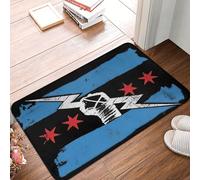 OOAHJEID Flannel absorbent door mat CM Punk 2023 Anti-slip Floor Mat Washable Carpet Rug