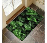 OOAXBEED 1pc Non-slip Soft and Comfortable Machine Washable Indoor/Outdoor Doormat - Green Leaves and Raindrops Design for Entrance