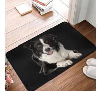 OOAXBEED Custom Border Collie Doormat Anti-Slip Entrance Kitchen Bathroom Door Floor Mat Pet Dog Gift Garage Carpet Rug