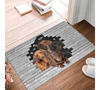 OOAXBEED Dachshund Dog In Cement Brick Doormat Anti-Slip Kitchen Bathroom Mat Garden Garage Door Floor Entrance Carpet Rug-24x36 inch