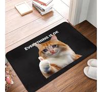 OOAXBEED Everything's Ok Crying Cat Memes Non-slip Doormat Floor Mat Carpet Rug for Kitchen Entrance Bathroom Living room Footpad Mats