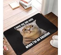 OOAXBEED I Love My Job Only When I'm On Vacation Funny Cat Qoute Anti-slip Doormat Floor Mat Carpet Rug for Kitchen Entrance Footpad Mats