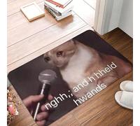 OOAXBEED What If We Kissed And Held Hands Crying Cat Memes Anti-slip Doormat Floor Mat Carpet Rug for Kitchen Entrance Home Footpad Mats