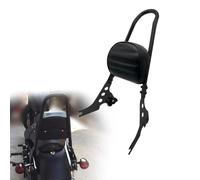 OOELAZ Detachables Sissy Bar Passenger Backrest For H&arley Iron 883 XL883N 2009 2010 2011 2012 2013 2014 2015 2016 2017 2018 2019 2020 2021 2022
