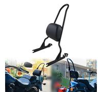 OOELAZ Detachables Sissy Bar Passenger Backrest For H&arley Night Train FXSTB 2006 2007 2008 2009