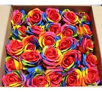 Ooki 25 Handmade Artificial Silk Rainbow Rose Heads Bridesmaid Flower Bush Arrangement Home Decor Wedding Party Celebration Centerpiece DIY