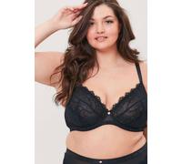 Oola Lingerie Lace & Logo Underwired Non Padded Bra In Black Black 40F