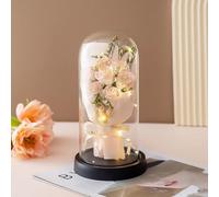Oostifun Preserved Artificial Flower Bouquet with Warm White LED Strip in transparant Dome for Chiristmas Mother's Day Valentine's Day Birthday Wedding, for Mum Wife Girlfriend Grandmother (Pink)