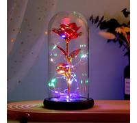 Oostifun Preserved Artificial Rose Flower with LED Strip in transparant Dome for Women Chiristmas Mother's Day Valentine's Day Birthday Wedding Gifts, for Her Mum Wife Girlfriend Grandmother (Red)
