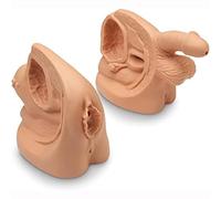 Opaeroo Anatomy Catheterization Model, Male Female Catheterization Model Internal and External Genital Anatomy Model, and Urinary Catheter Mold Education Model