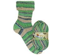 Opal "Fantastic Sky" 6ply Sock Yarn 150g Knitting Wool - Full Range