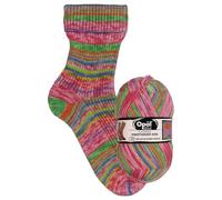 Opal - Opal Nach Hundertwasser Edition 4051-563 (425m) 4-Ply Durable Sock Yarn - 1x100g