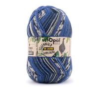 Opal Regenwald 20-Year Anniversary (425m) 4-Ply Yarn - Wool-Blend, for Knitting Warm Socks with a Unique Colour Patterns, 8972, 1 x 100g