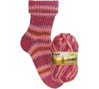 Opal XLarge Wintersonne (320m) 8-Ply Yarn - Wool-Blend, for Knitting Warm Socks with Unique Colour Patterns, 11432, 1 x 150g