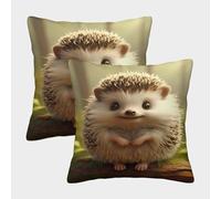 OPANZYYDE Hedgehog with Invisible Zipper Pack of 2 Homeware Cushions Decorative Pillow case for Sofa Couch Bedroom with Invisible Zipper 40x40cm