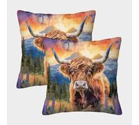 OPANZYYDE Highland Cattle with Invisible Zipper Pack of 2 Homeware Cushions Decorative Throw Pillow Cases for Sofa Chair Bedroom Living Room Kitchen Decorative 50x50cm