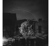 Open City - Hands In The Honey Jar [VINYL]