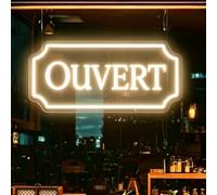 Open LED Sign for Business,Dimmable Open Neon Sign USB Powered for Wall Decor Bar Coffee Salon and Shop Studio