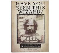 Open Road Brands Harry Potter Sirius Wanted 3D Wood Wall Decor