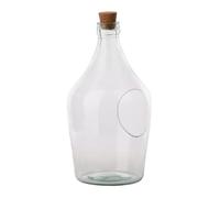 Open Terrarium Clear Bottle (3 Litre) Fallen Fruits Clear One Size