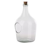 Open Terrarium Clear Bottle (5 Litre) Fallen Fruits Clear One Size